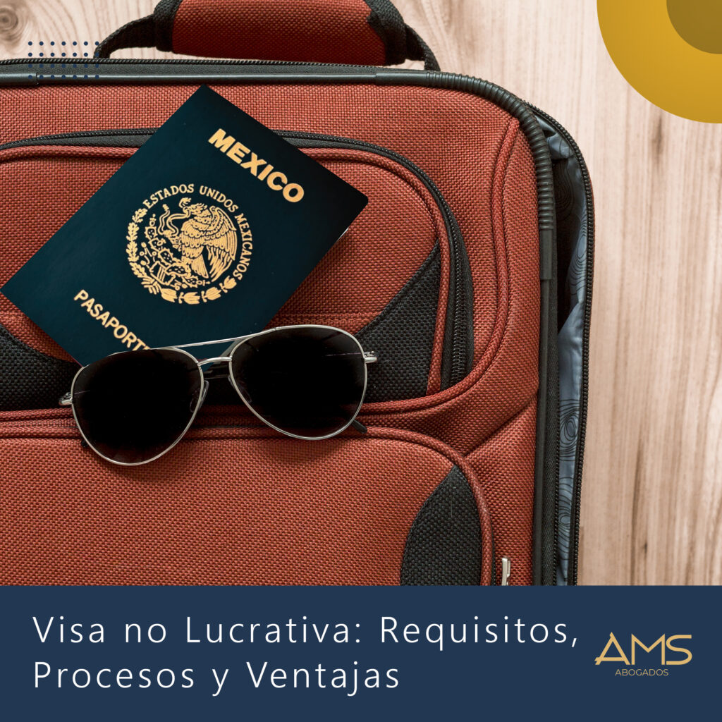 visa no lucrativa españa 2026