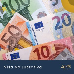 Visa No Lucrativa en España 2024